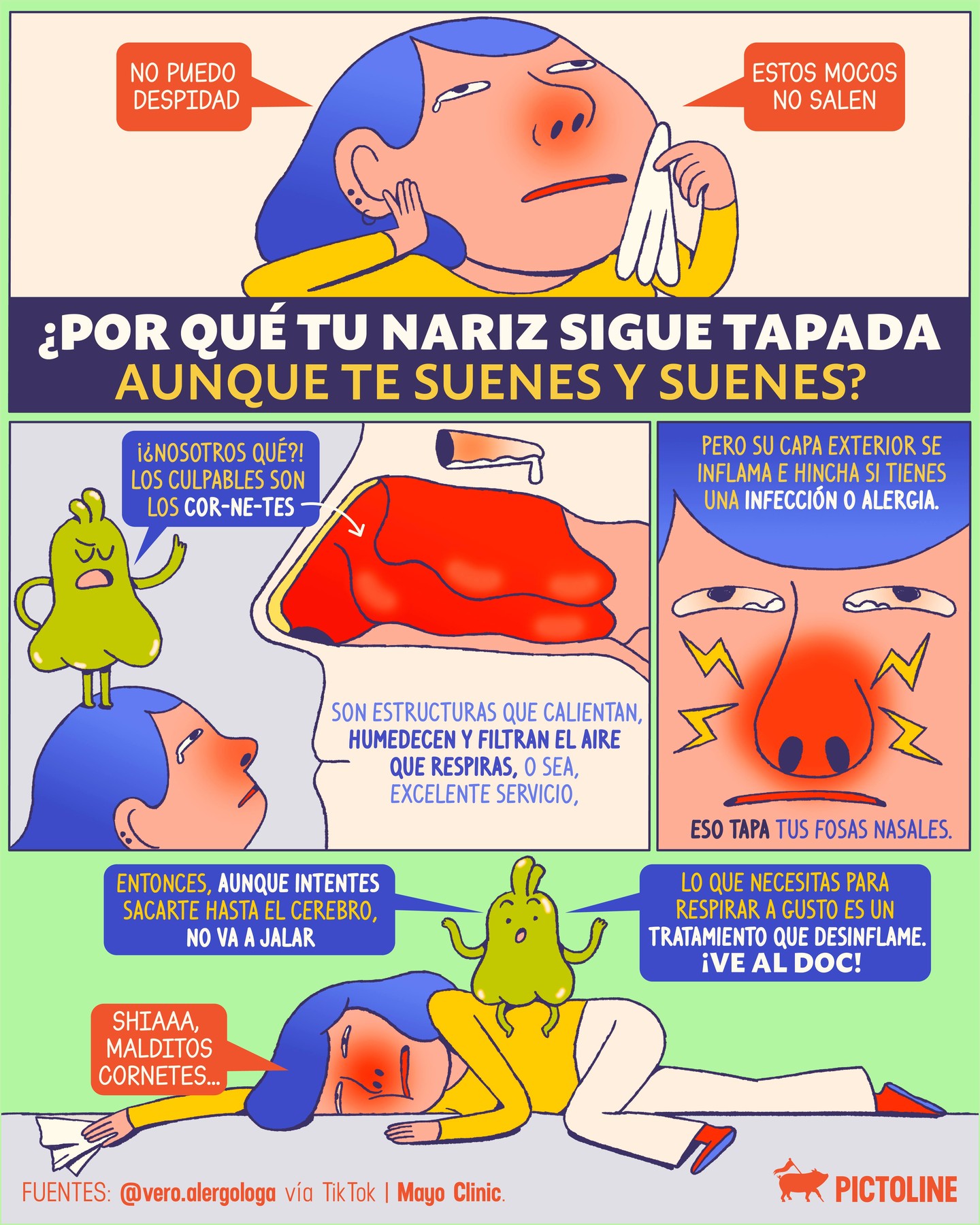 Y tú echándole toda la culpa a los mocos, cuando los verdaderos culpables de esa nariz tapada son los cornetes 🤧👃🔍⁣ ⁣ #salud #nariz #medicina #alergias #infecciones #sinusitis #cornetes #pictoline