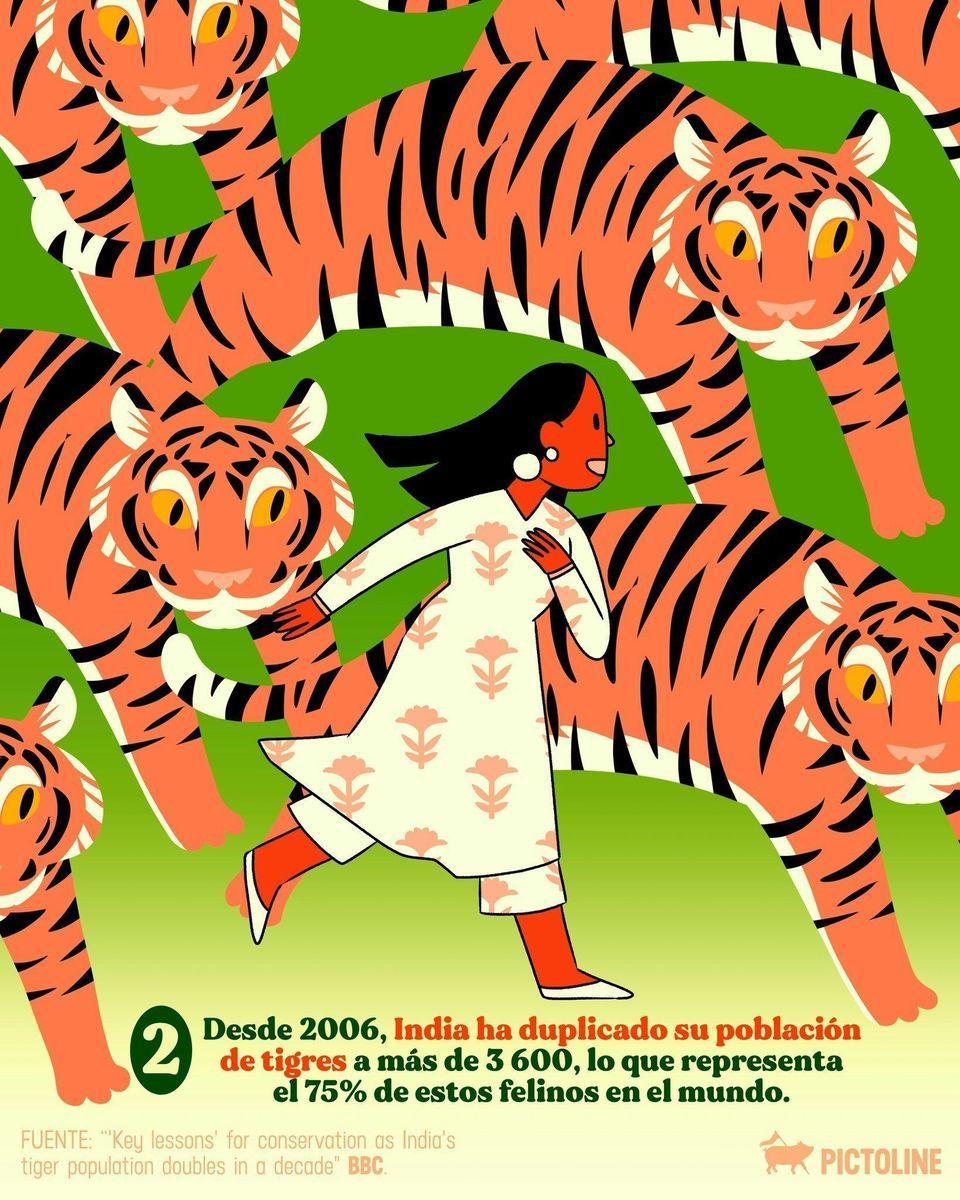 🔎 Entre tanto caos, también pasan cosas buenas 🌎 #buenasnoticias #esperanza #noticias #newsupdates #cultura #sociedad #tigres #brasil #colombia #india #huntington #vih #pictoline