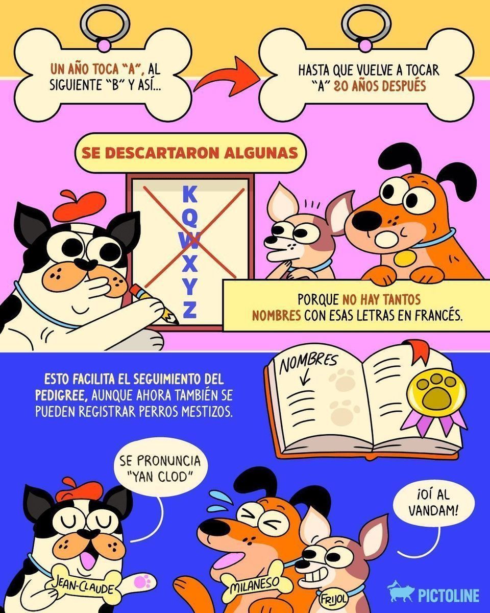 Imagínate ser de Francia y perderte el folklore de tener a Milaneso, Frijol y Bonifacio bautizados el mismo año 🐕✨⁣ ⁣ #perros #perrihijos #perrhijos #mascotas #pets #francia #franciabulldog #france #sociedad #cultura #pictoline