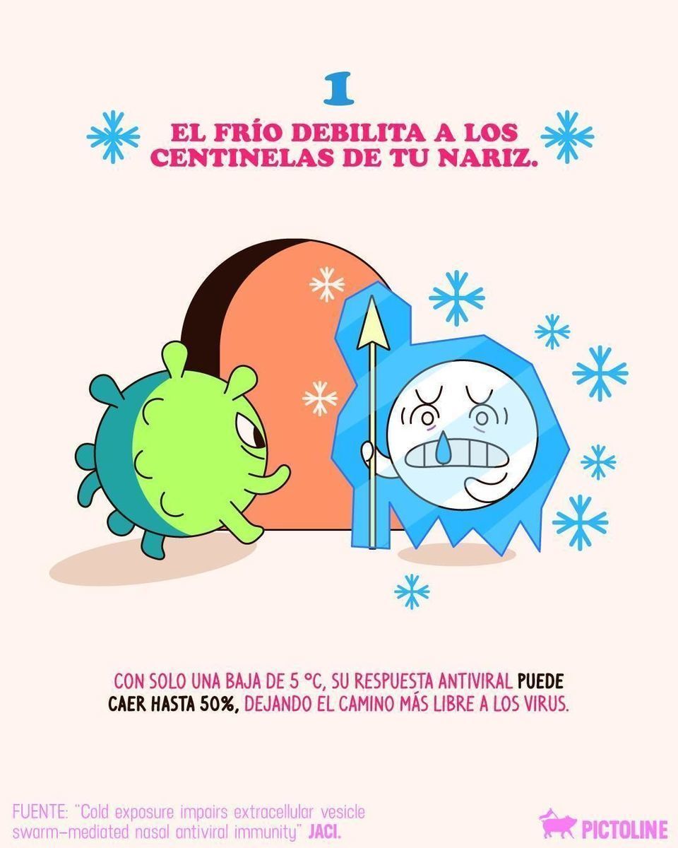 A veces, hacerle caso a la abue sí es ciencia aplicada 👵❄️🦠 #virus #resfriado #gripe #frio #clima #climafrio #enfermedades #salud #pictoline