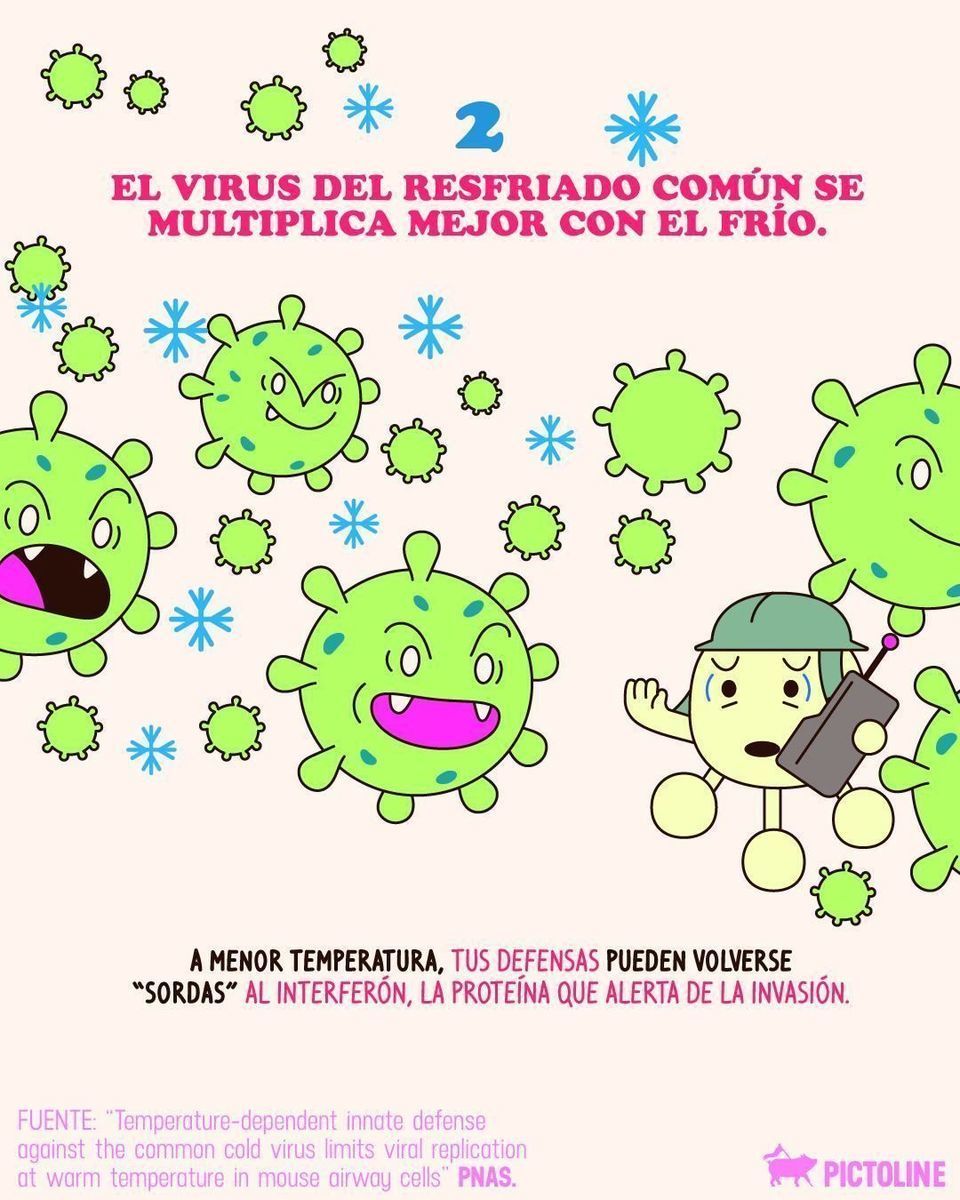 A veces, hacerle caso a la abue sí es ciencia aplicada 👵❄️🦠 #virus #resfriado #gripe #frio #clima #climafrio #enfermedades #salud #pictoline