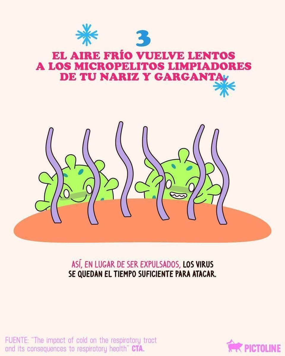 A veces, hacerle caso a la abue sí es ciencia aplicada 👵❄️🦠 #virus #resfriado #gripe #frio #clima #climafrio #enfermedades #salud #pictoline
