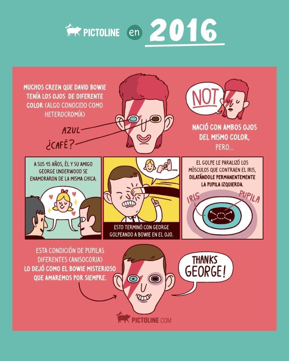 🐖 Recordando el 2016 con algunos de nuestros favs 🥓 #throwback #tbt #nostalgia #recuerdo #trending #actualidad #pictoline