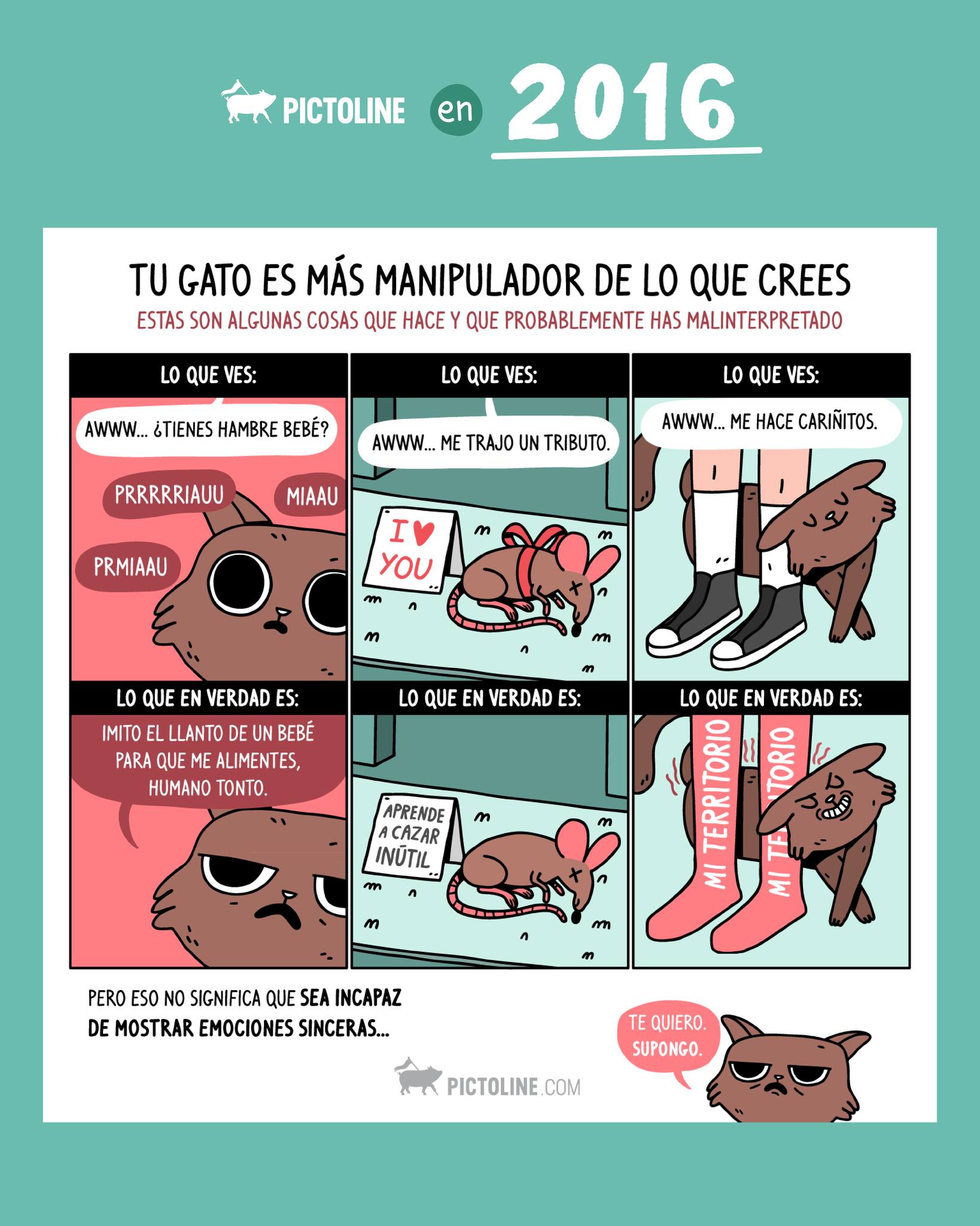 🐖 Recordando el 2016 con algunos de nuestros favs 🥓 #throwback #tbt #nostalgia #recuerdo #trending #actualidad #pictoline