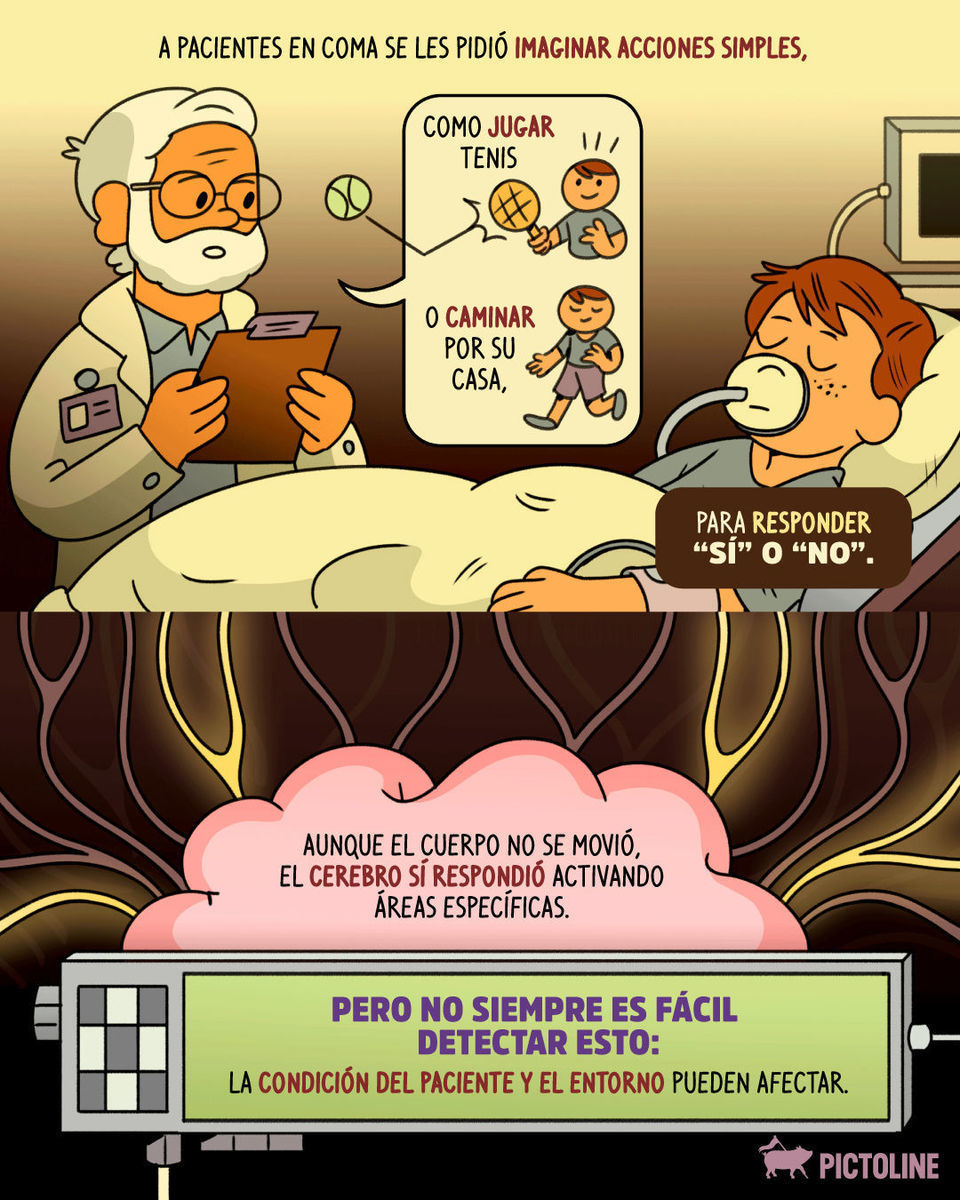 👤 Puede que el cuerpo no responda, pero parece que el cerebro sí ✨ #coma #cerebro #neurociencia #consciencia #salud #ciencia #medicina #pictoline