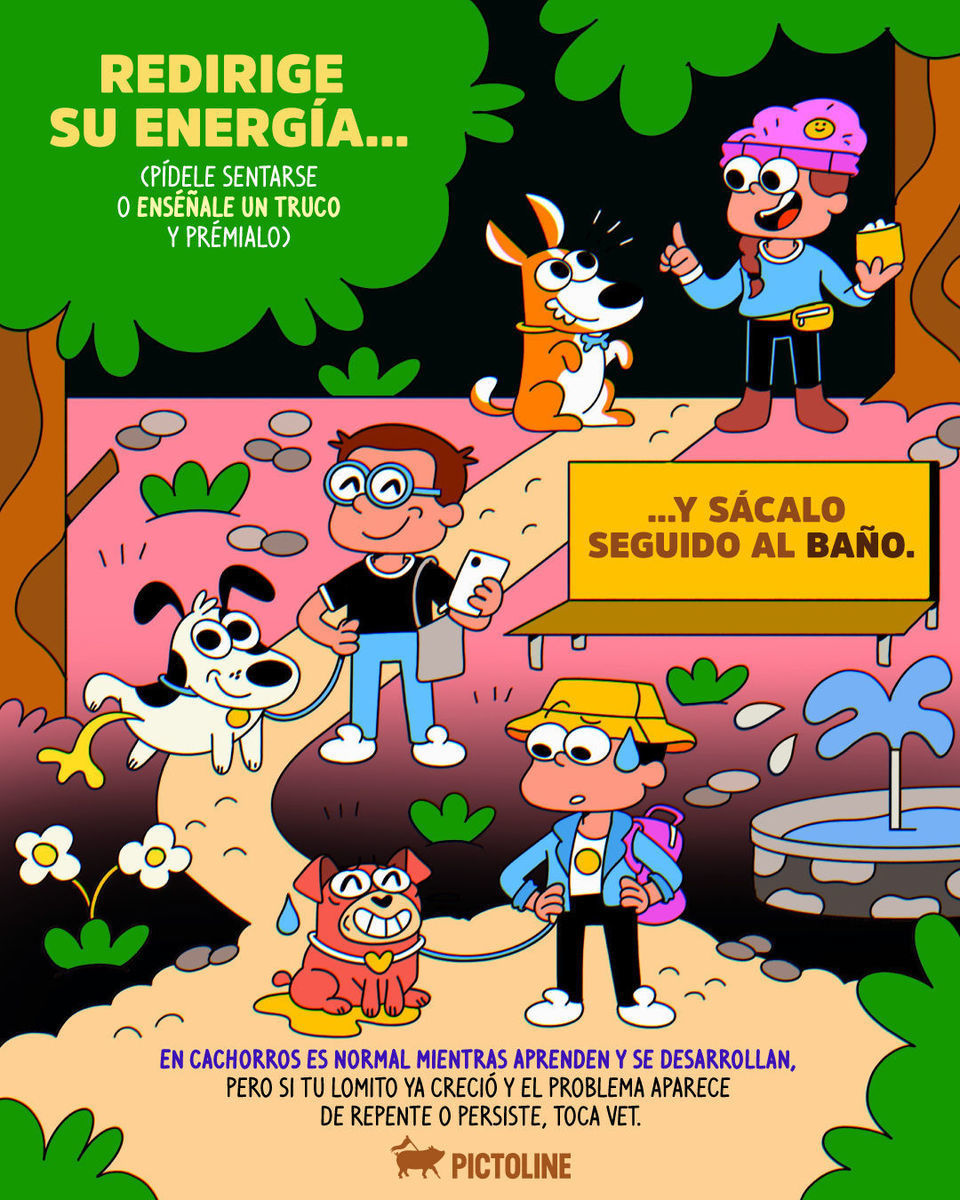Si cuando saludas a tu lomito se suelta un “ma, ya me mié”, chécalo, compa 💦🐶 #perros #mascotas #pets #perrhijo #perro #lomito #lovepets #pictoline