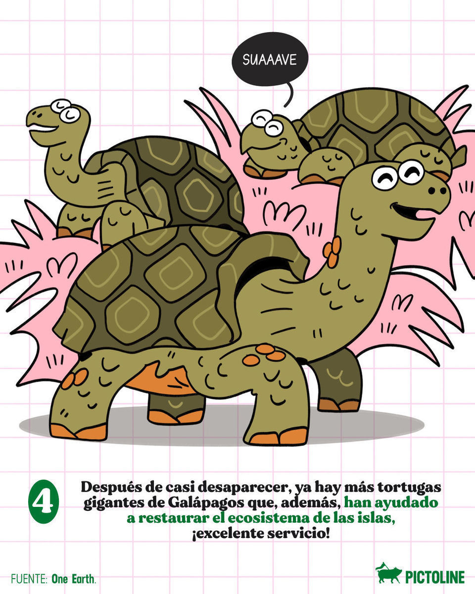 💛 Buenas noticias para arrancar el mes 🌱⁣ ⁣ #buenasnoticias #esperanza #febrero #salud #ciencia #cancer #ajolote #tortugas #actualidad #pictoline