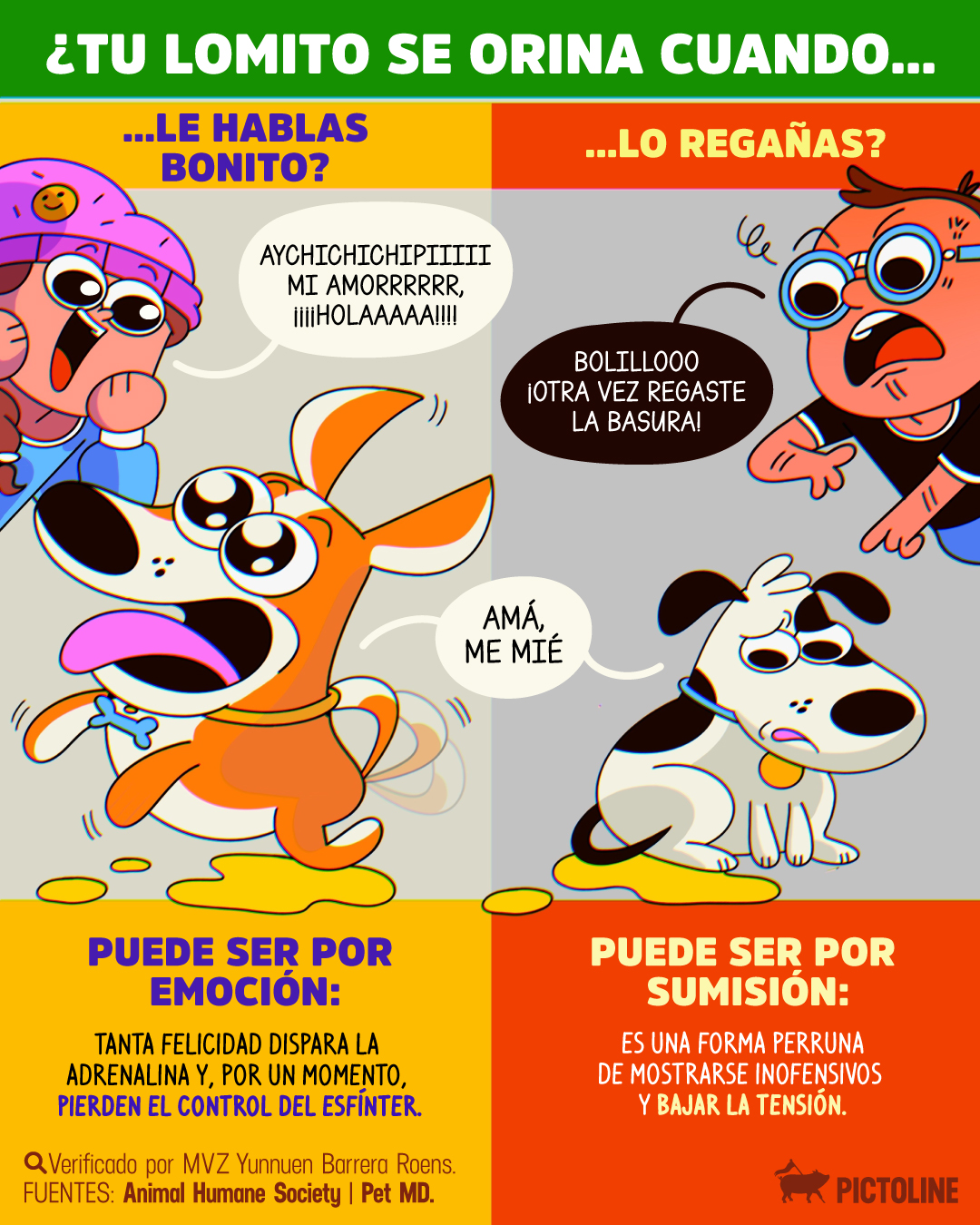 Si cuando saludas a tu lomito se suelta un “ma, ya me mié”, chécalo, compa 💦🐶 #perros #mascotas #pets #perrhijo #perro #lomito #lovepets #pictoline