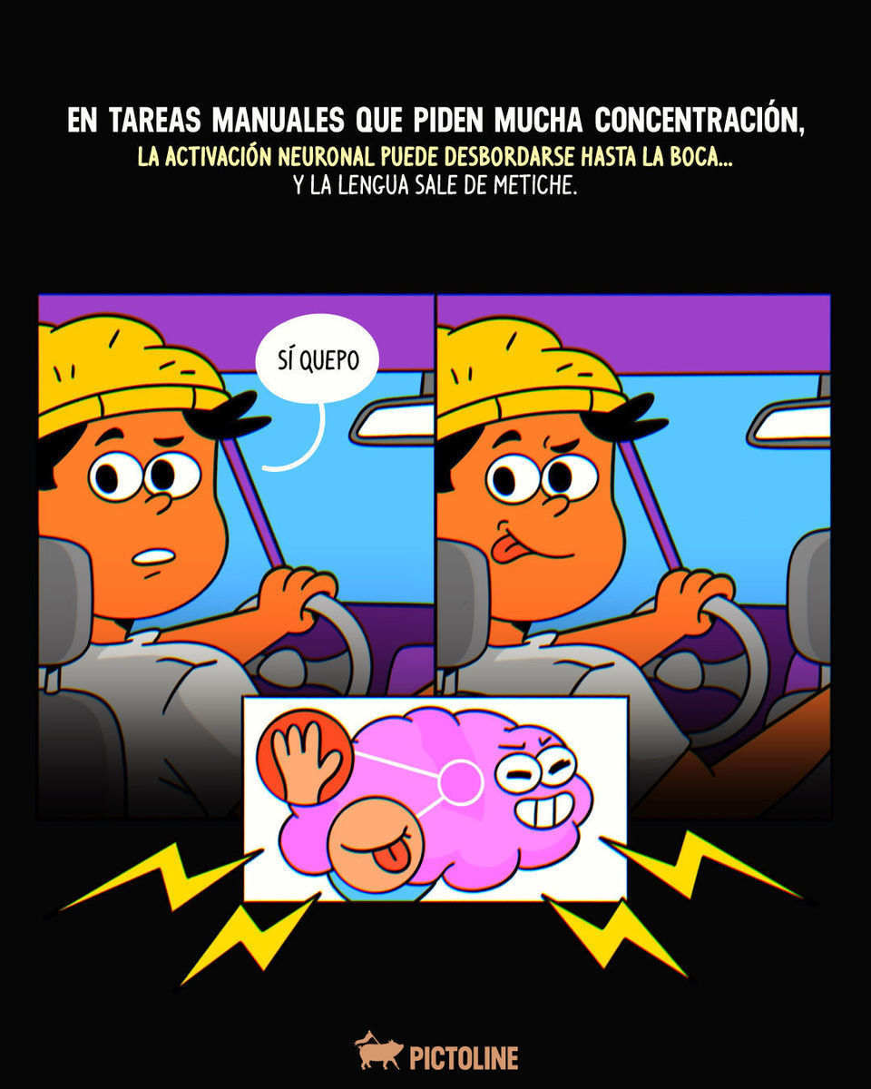 👅 ¿Te concentras tanto que se te sale la lengua? 🧠⁣ ⁣ #cerebro #cerebro #concentration #lengua #ciencia #neuronas #datoscuriosos #pictoline