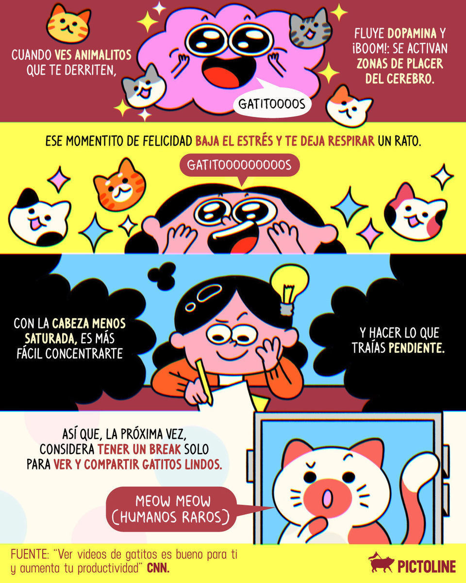 Si amas ver gatitos en horario laboral… tengo noticias científicas para ti 🐈📱⁣ ⁣ #gatos #michis #pets #mascotas #viral #saludmental #bienestar #enfoque #pictoline