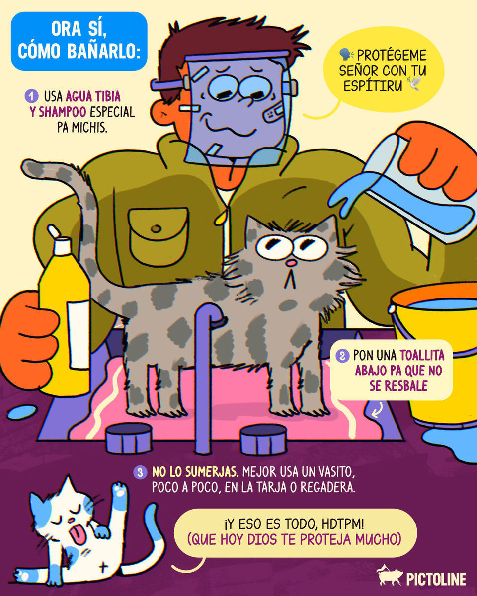 🧼🙀 Si hoy les toca baño, mañana les toca terapia 😿😅 #gatos #gatitos #michi #cats #estres #higiene #baño #mascotas #pictoline