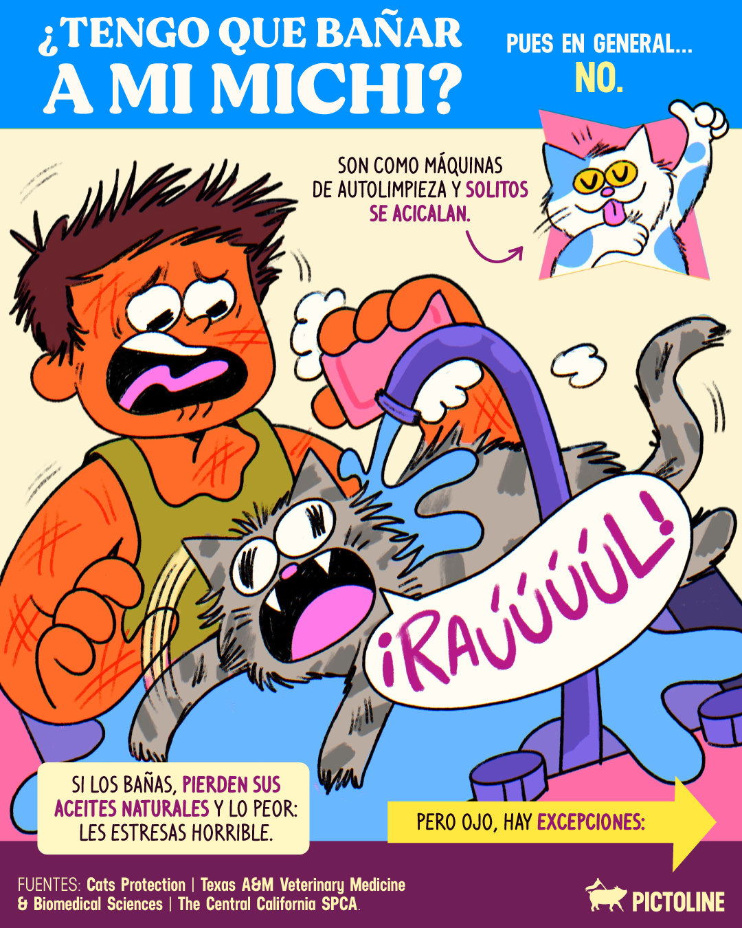 🧼🙀 Si hoy les toca baño, mañana les toca terapia 😿😅 #gatos #gatitos #michi #cats #estres #higiene #baño #mascotas #pictoline