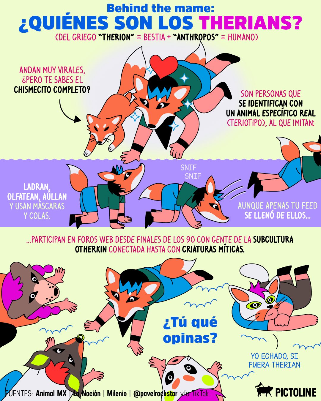 📲 Tus redes se llenaron de Therians, pero ¿sabes quiénes son? 🐺🦊🐶⁣ ⁣ #therian #therians #animales #viral #identidad #actualidad