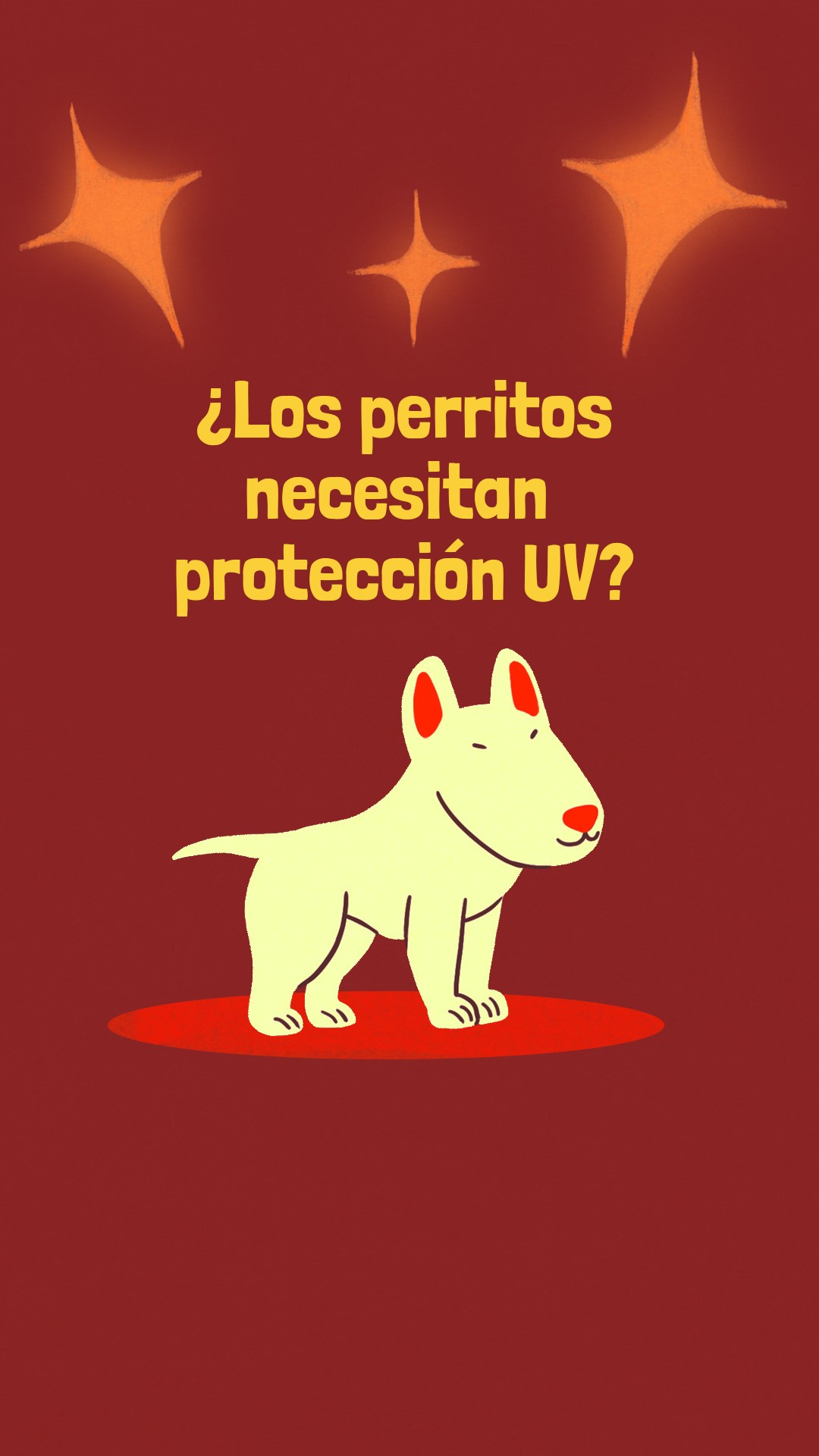 Deja que Chorizo sea feliz un ratito en el sol este domingo, pero también cuida su piel 🐶🌞💕 #perros #mascotas #dogslovers #salud #pictoline