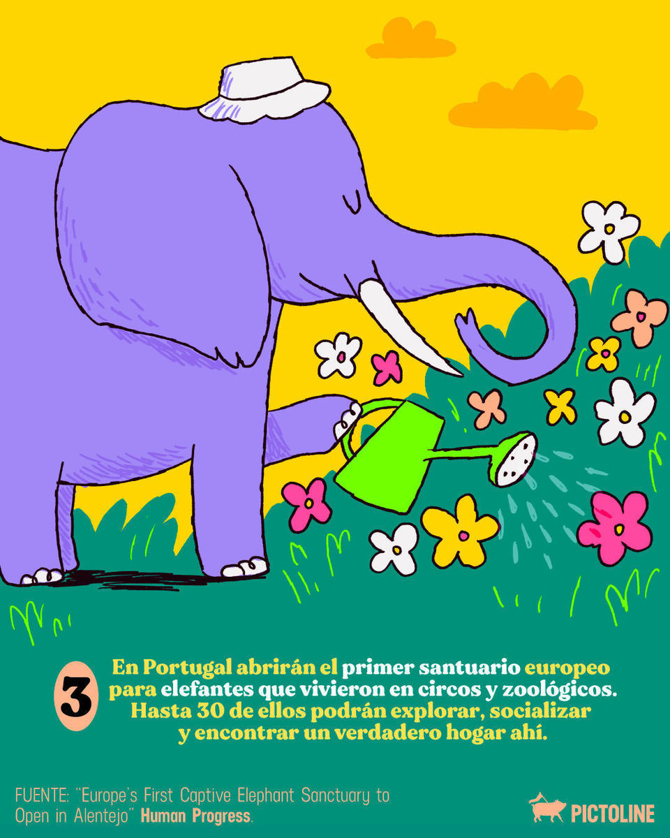 Entre tanto caos en el mundo, también hay buenas noticias 💙🔍 #buenasnoticias #marzo #salud #ciencia #animales #pictoline