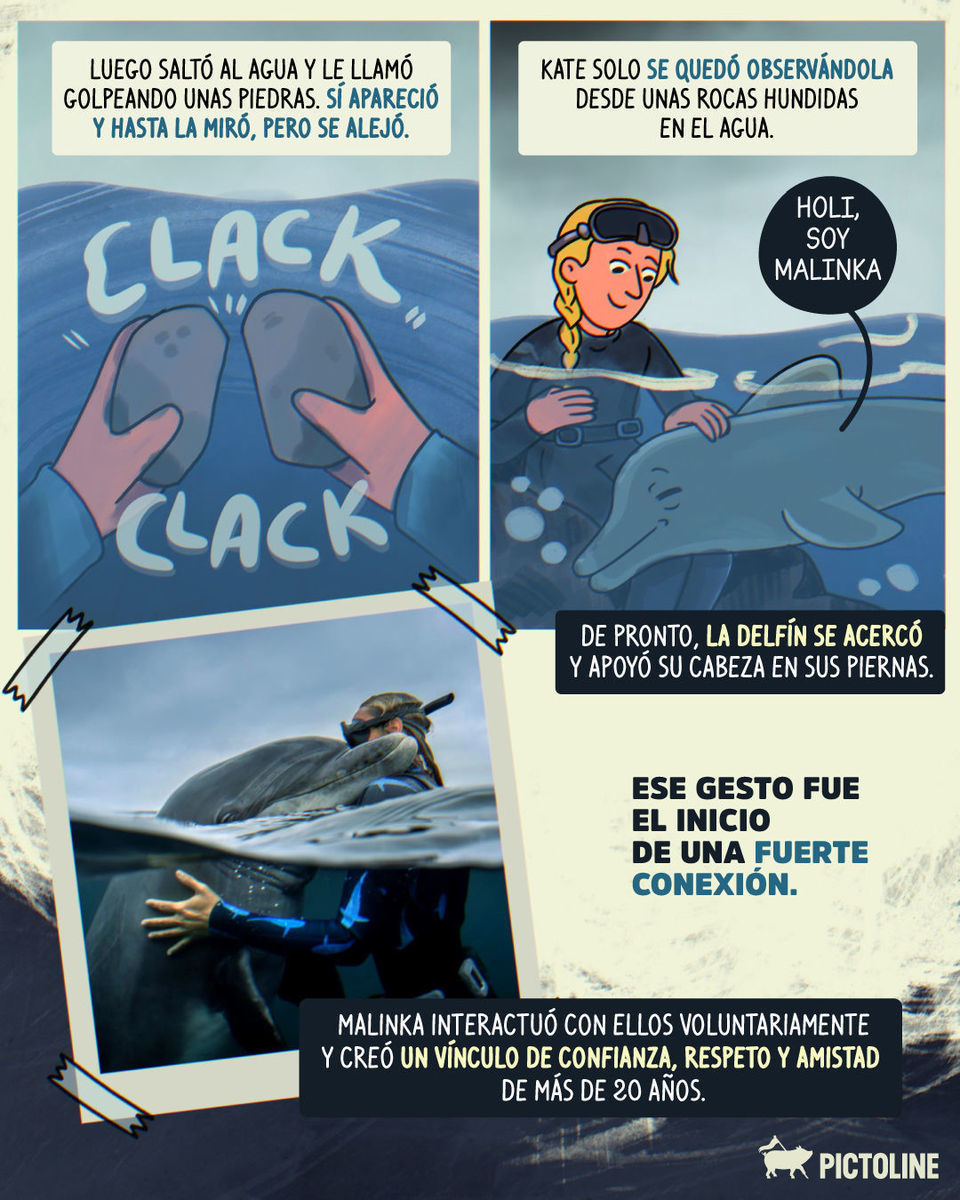 🐬🙌 Más de 20 años de amistad con la delfín Malinka y tú sin lograr llamar a tu real 📲👀⁣ ⁣ #delfin #naturaleza #amistad #animales #pictoline