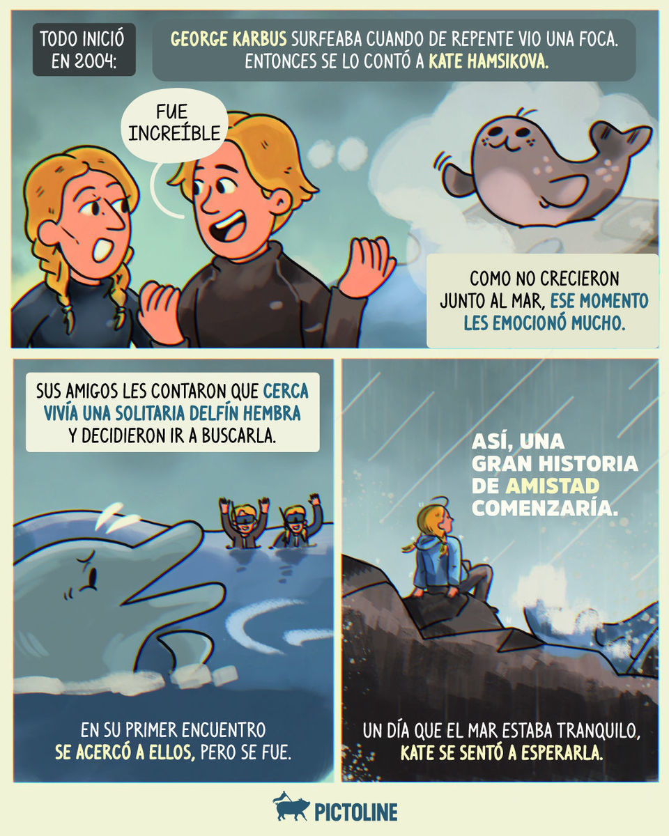 🐬🙌 Más de 20 años de amistad con la delfín Malinka y tú sin lograr llamar a tu real 📲👀⁣ ⁣ #delfin #naturaleza #amistad #animales #pictoline