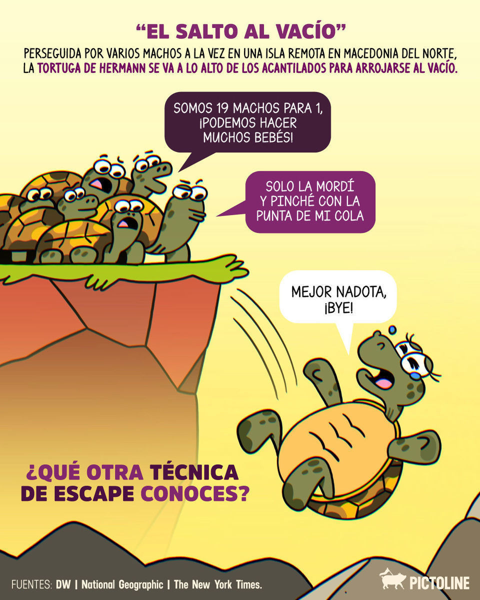 🐸🐟🐢 Esto pasa en el reino animal, pero tú, ¿qué tácticas has aplicado? 🫣⁣ ⁣ #animales #datoscuriosos #reinoanimal #naturaleza #pictoline