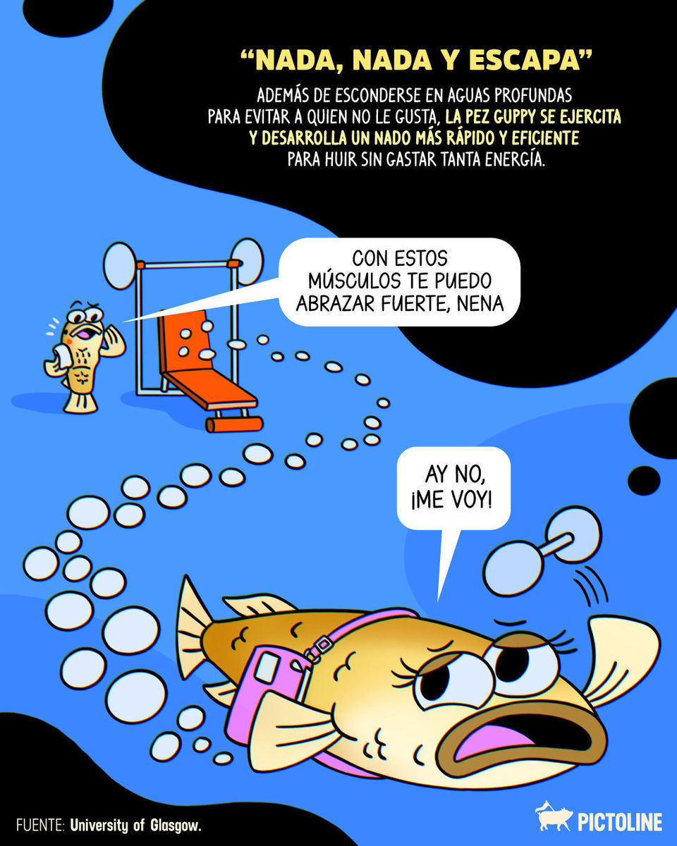 🐸🐟🐢 Esto pasa en el reino animal, pero tú, ¿qué tácticas has aplicado? 🫣⁣ ⁣ #animales #datoscuriosos #reinoanimal #naturaleza #pictoline