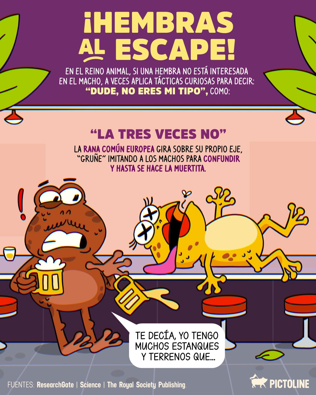 🐸🐟🐢 Esto pasa en el reino animal, pero tú, ¿qué tácticas has aplicado? 🫣⁣ ⁣ #animales #datoscuriosos #reinoanimal #naturaleza #pictoline