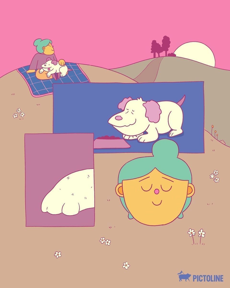 Cuando lo único que quieres es que el tiempo se detenga 🐶💗🥹 #perro #perros #pets #love #mascotas #amistad #todalavida #juntosxsiempre #pictoline