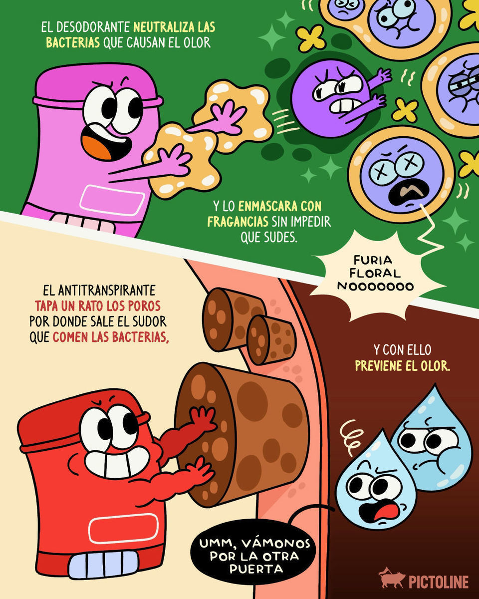 Desodorante vs. antitranspirante: el clásico que mucha gente confunde 👀🧴 #desodorante #antitranspirante #sudor #sudoracion #axilas #cuerpo #datoscuriosos #pictoline