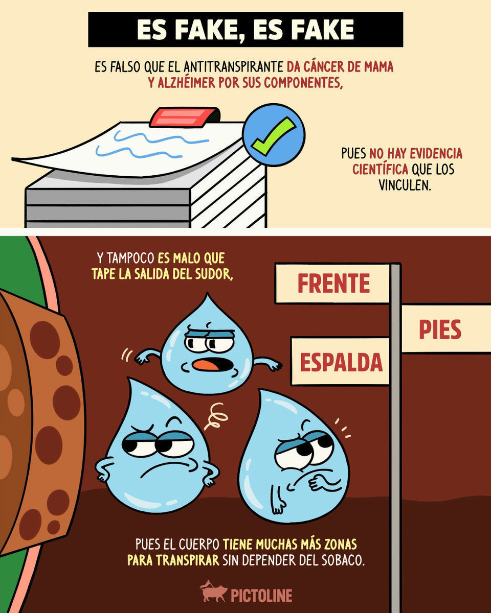 Desodorante vs. antitranspirante: el clásico que mucha gente confunde 👀🧴 #desodorante #antitranspirante #sudor #sudoracion #axilas #cuerpo #datoscuriosos #pictoline