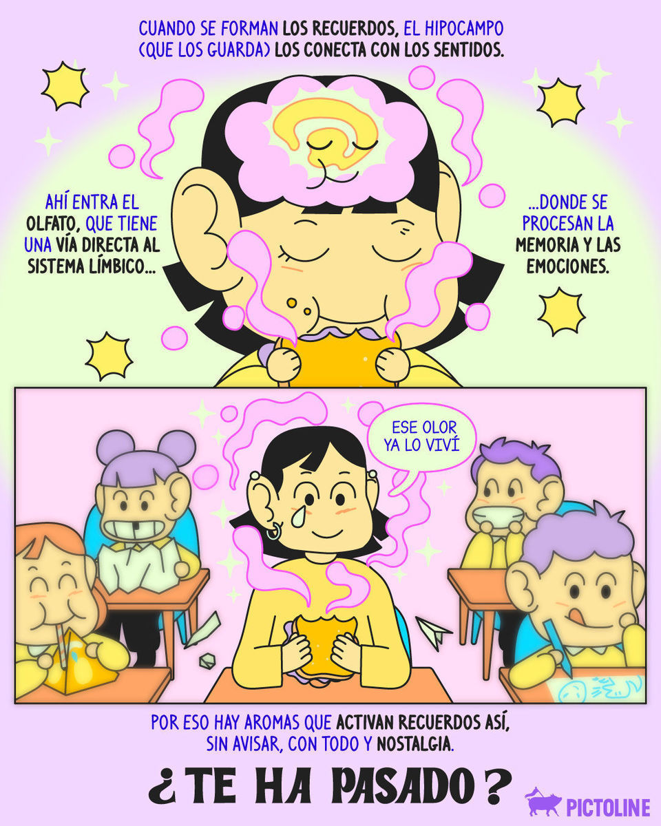 ¿Qué olor te desbloquea un recuerdo que ya ni topabas? 🧠⁣ ⁣ #recuerdos #memoria #olor #olfato #sentidos #cerebro #ciencia #nostalgia #flashback #pictoline