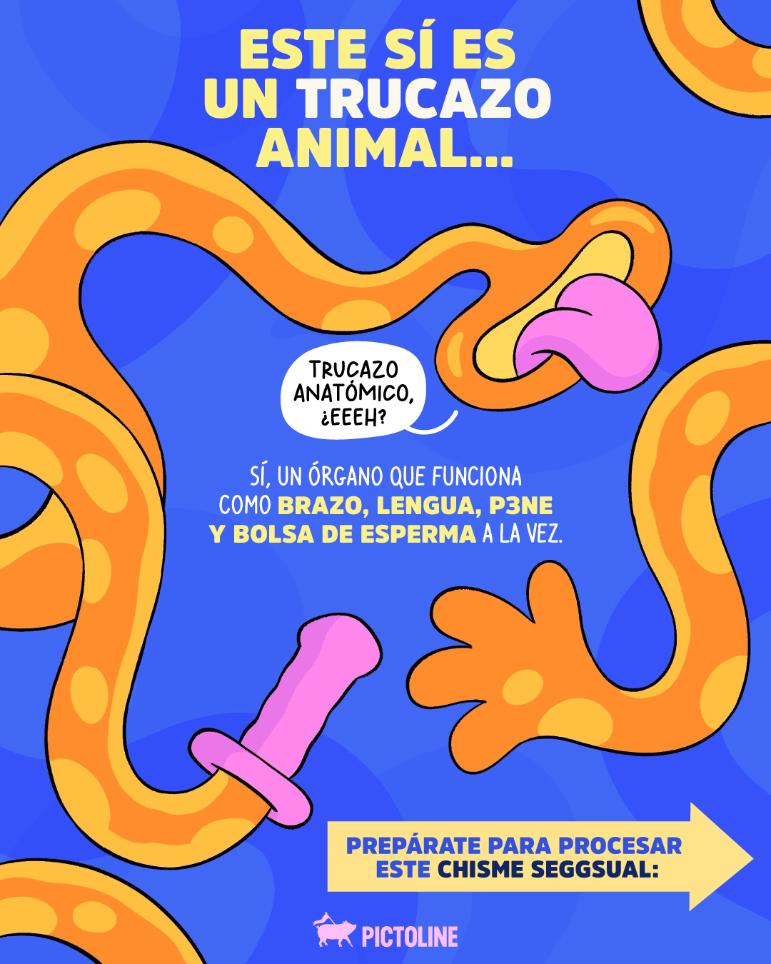 🐙 Y el pulpo: “deja te hago unas cosquillitas nomás” 👁️🫦👁️ #animales #datoscuriosos #octopus #curiosidades #reinoanimal #pictoline
