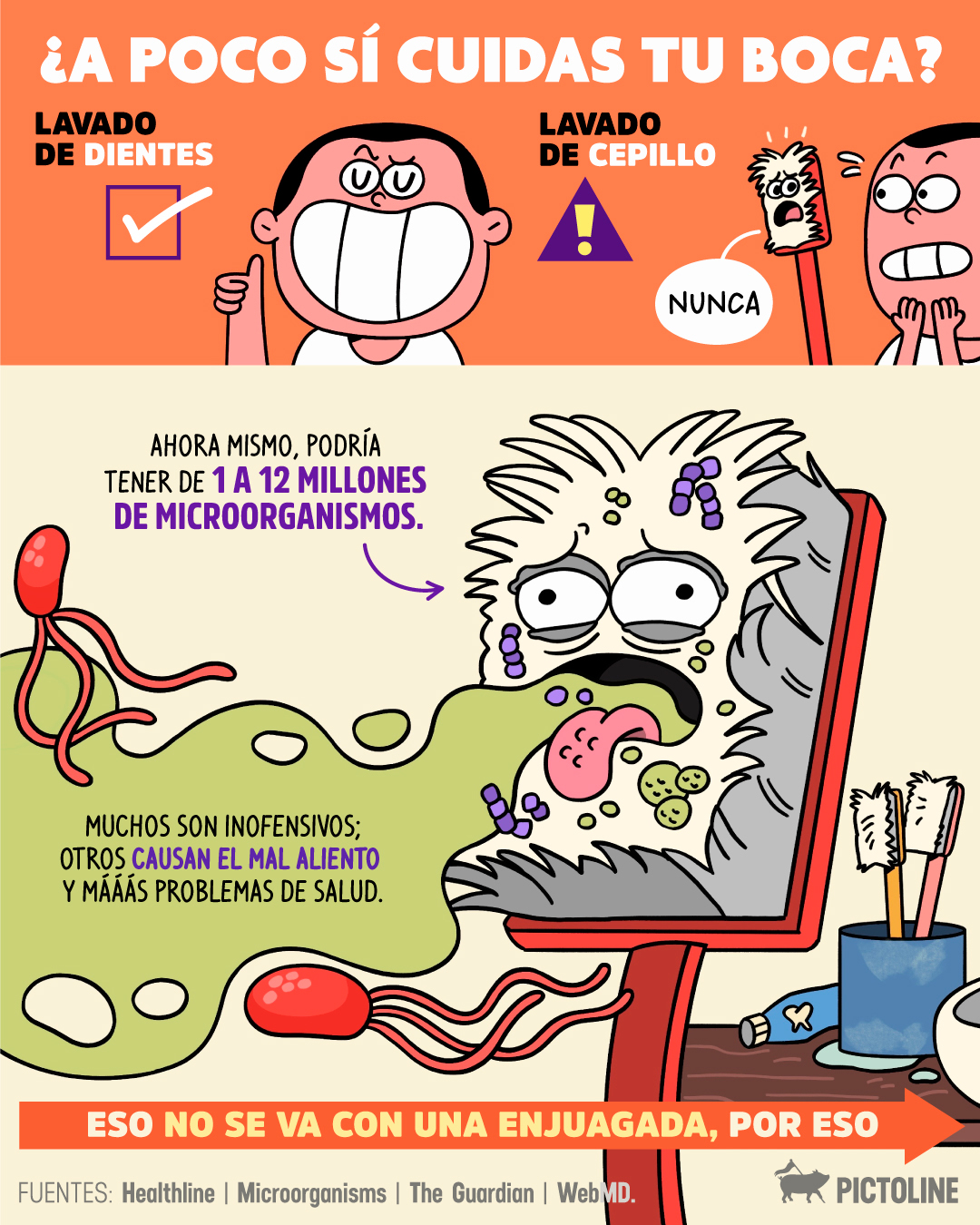 ¿Piensas que esa pastita vieja es lo más sucio que puede tener tu cepillo? 🪥🦠👄 ⁣ ⁣ #higienebucal #salud #dientes #cepillodental #pictoline