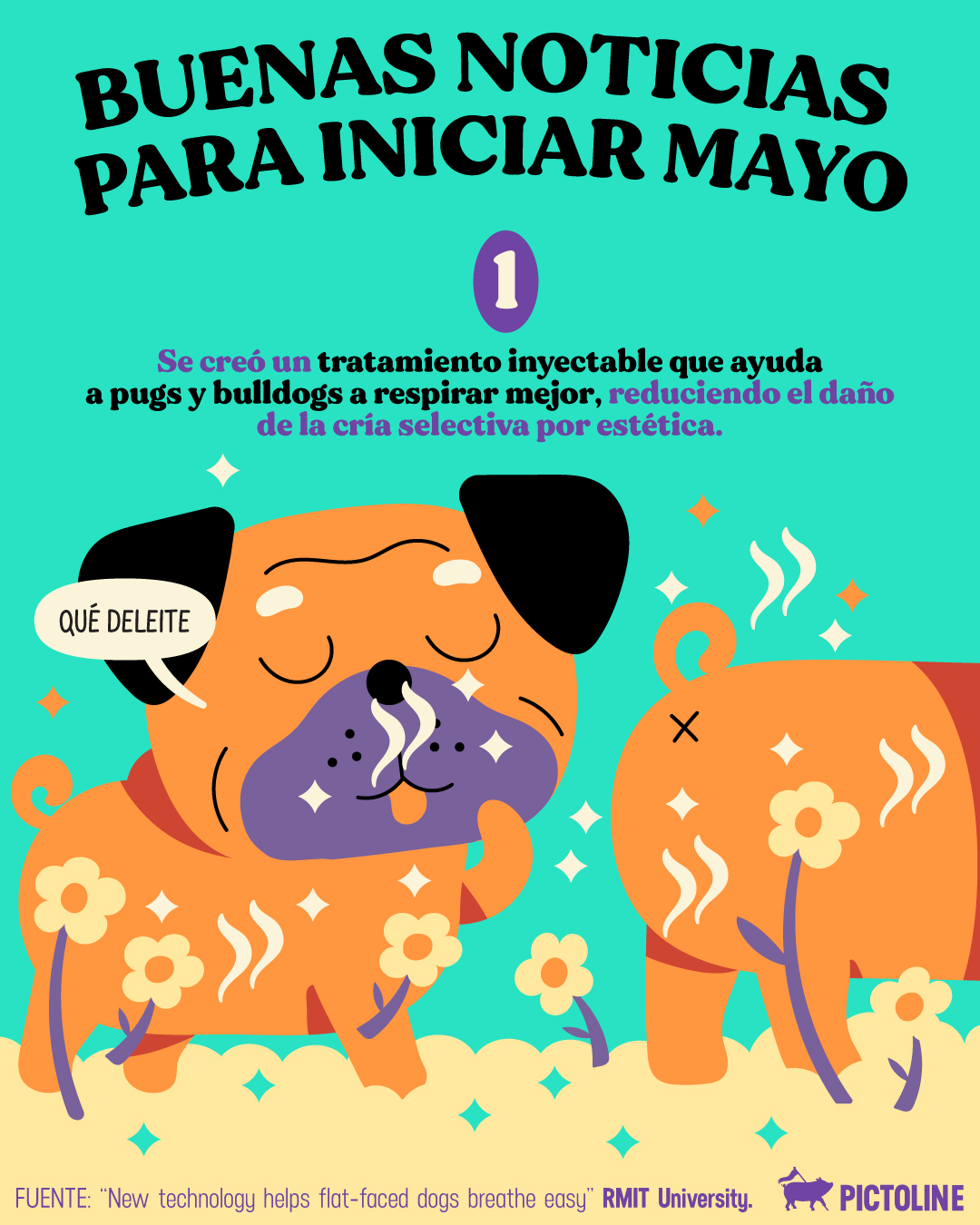 Un pequeño recordatorio de que el mundo también tiene cosas increíbles pasando, empezando por la 5 🌎💫⁣ ⁣ #buenasnoticias #news #actualidad #ciencia #perritos #pugs #record #medioambiente #pictoline