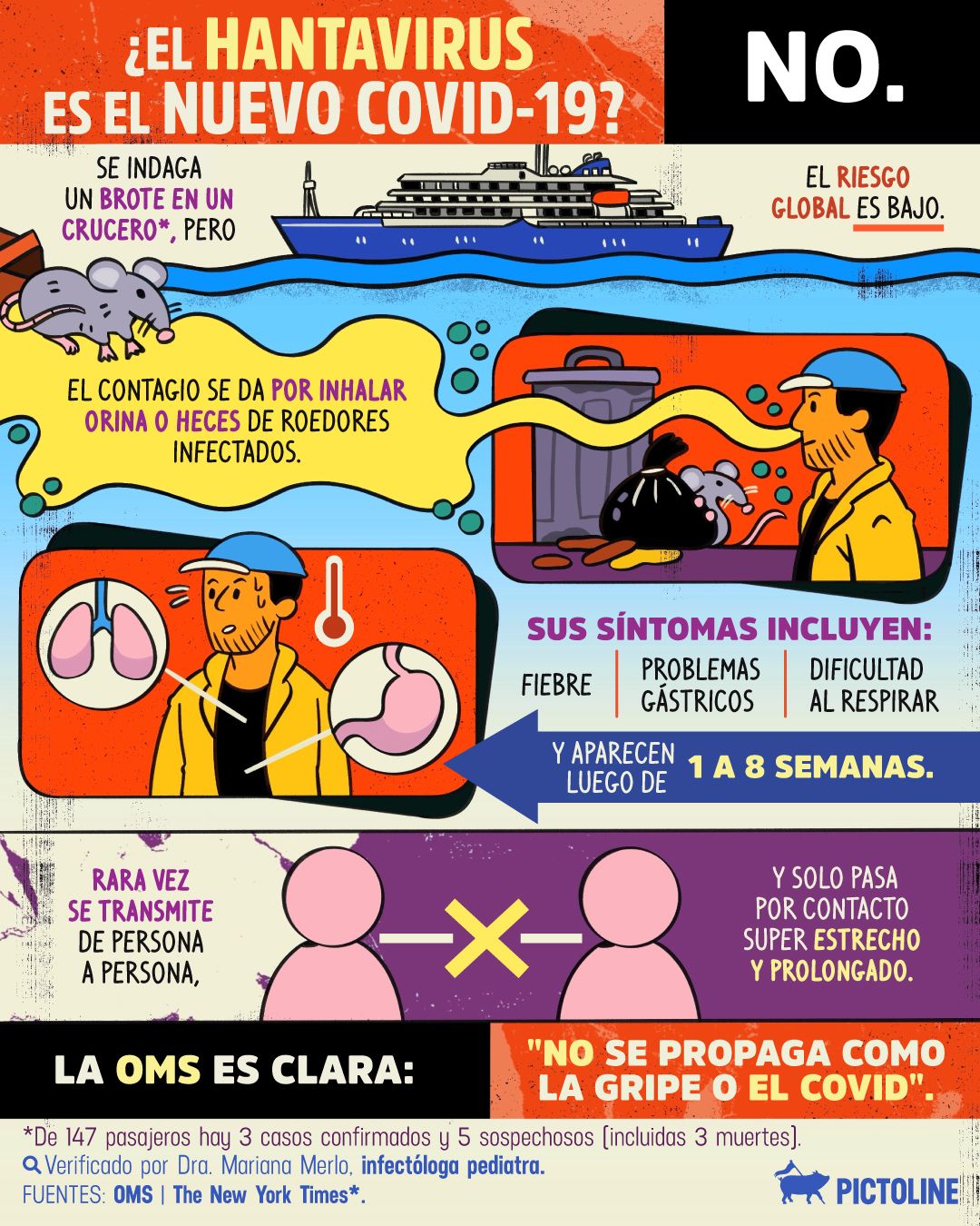 ¿Una nueva pandemia ahora por hantavirus? Respuesta corta: NO. ¿Por qué? 🦠🐀🔍⁣ ⁣ #hantavirus #actualidad #salud #crucero #oms #pictoline