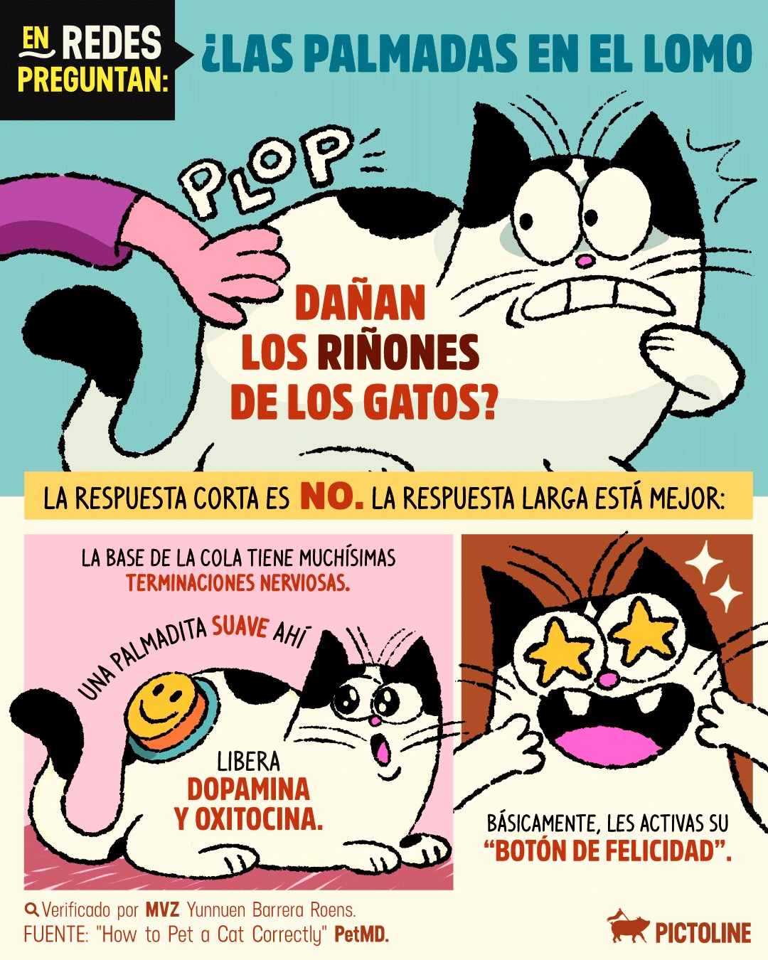 ¿Qué tanto le gustan las palmaditas a tu michi? 😸😾⁣ ⁣ #gatos #michis #cats #mascotas #salud #veterinaria #trending #mascotasfelices #pictoline