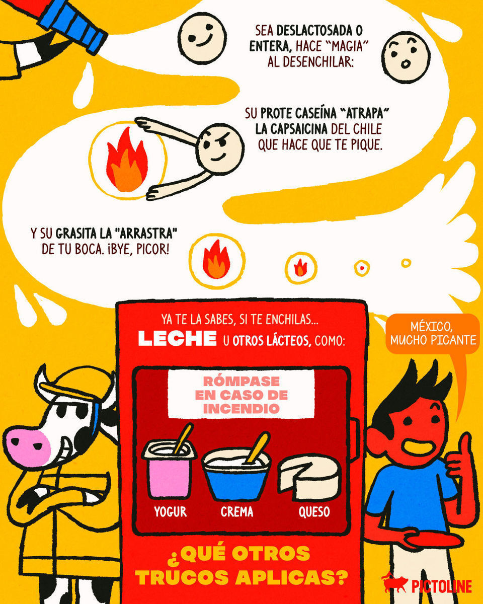 Cuando le pones de la que pica: leche 🥵🌶️🥛 ¿Qué otros trucos conoces? #leche #picante #ciencia #datoscuriosos #pictoline