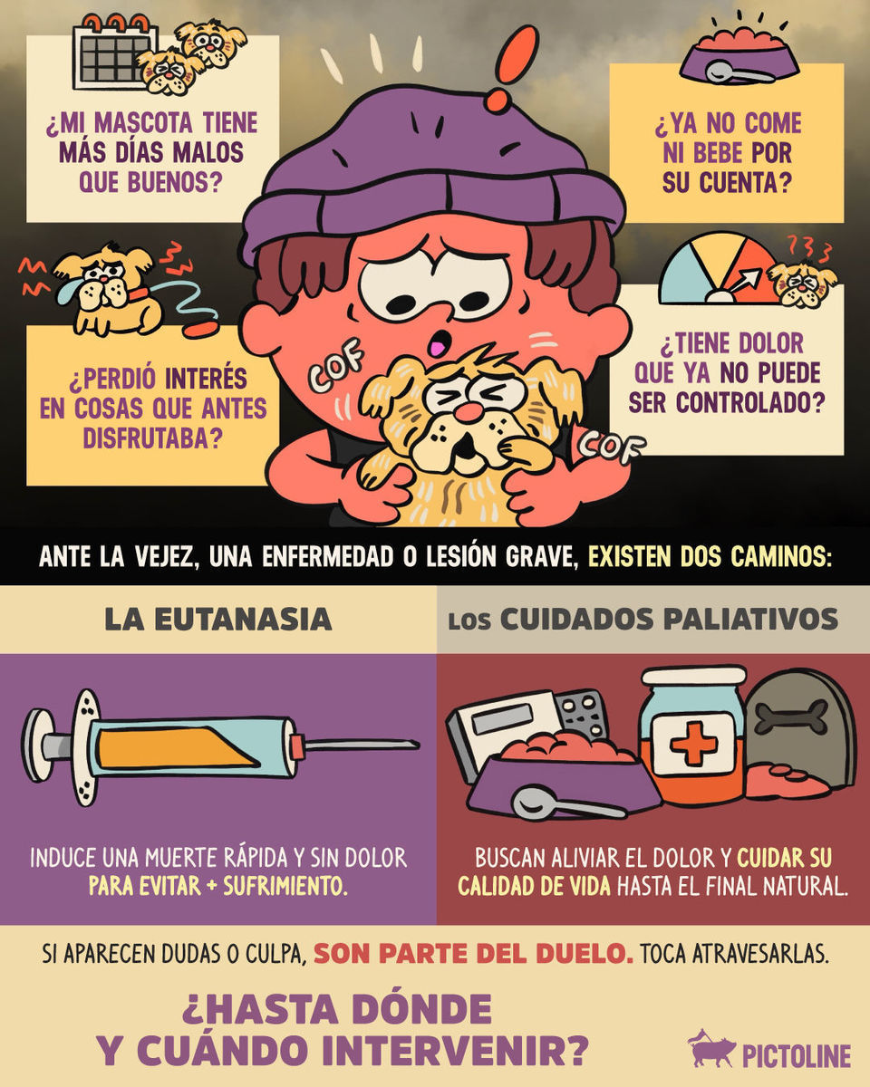 ¿Cómo saber qué camino tomar? 🐾⁣ ⁣ #mascotas #eutanasia #cuidadospaliativos #duelo #perros #gatos #veterinaria #pictoline