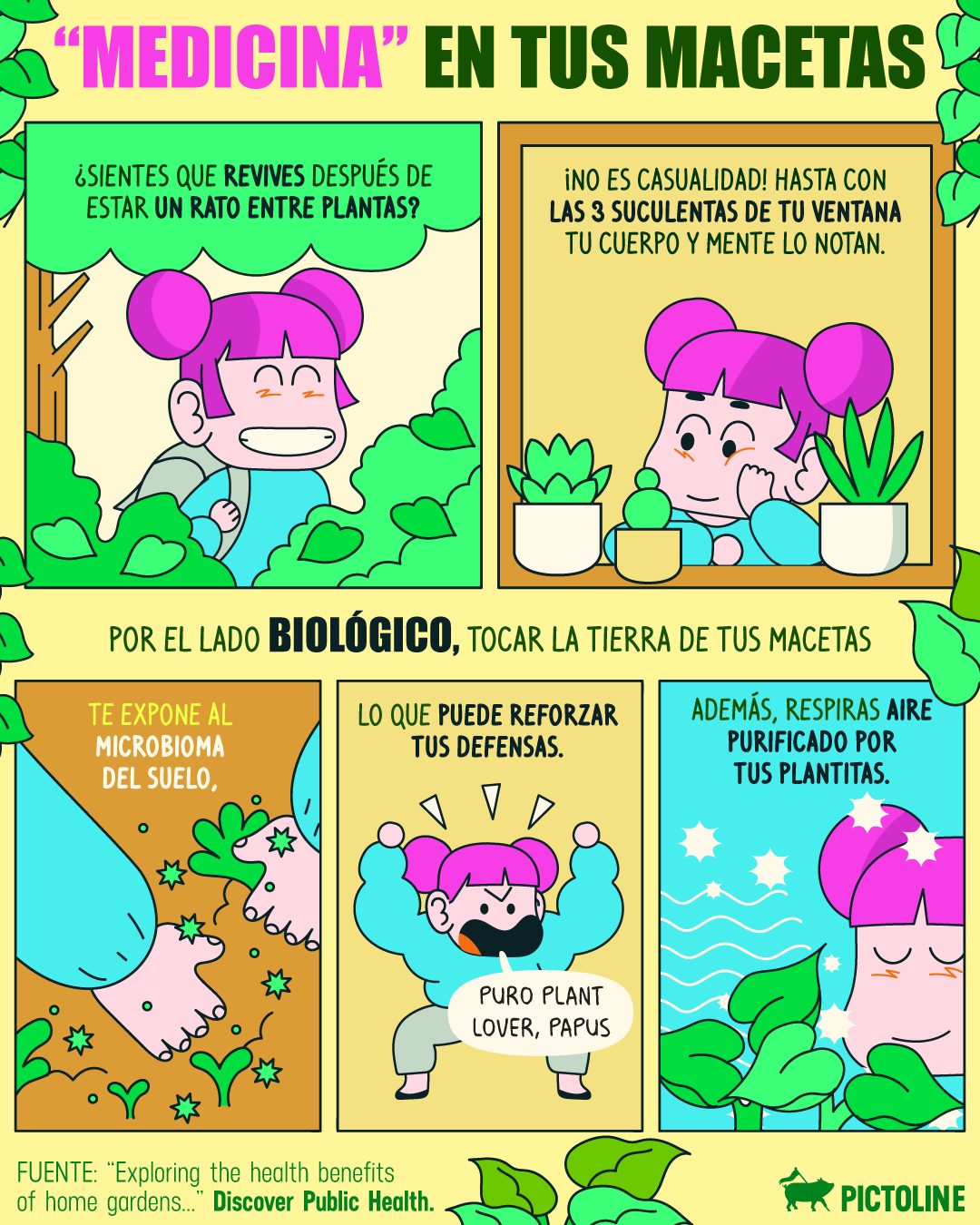 Así sean 2 monsteras o 3 suculentas, los beneficios de ese pequeño “jardín” se sienten 🪴✨⁣ ⁣ #plantas #naturaleza #salud #bienestar #mente #pictoline