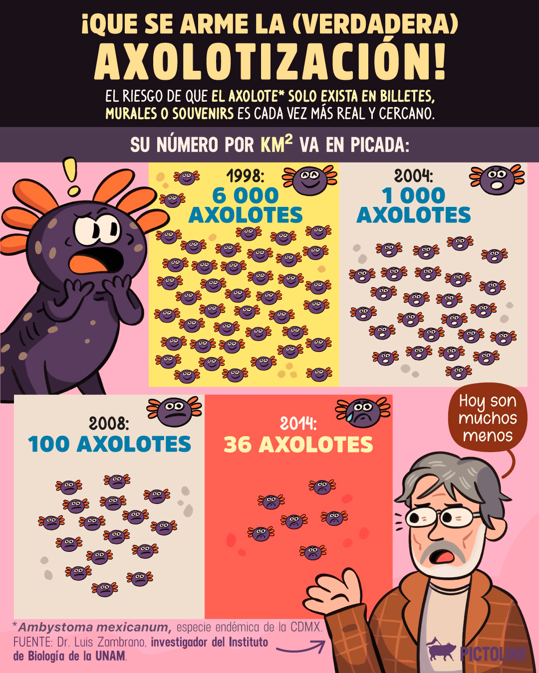 ¿Qué está pasando con los axolotes? 😧⁣ ⁣ #axolote #xochimilco #mexico #cdmx #animales #actualidad #pictoline