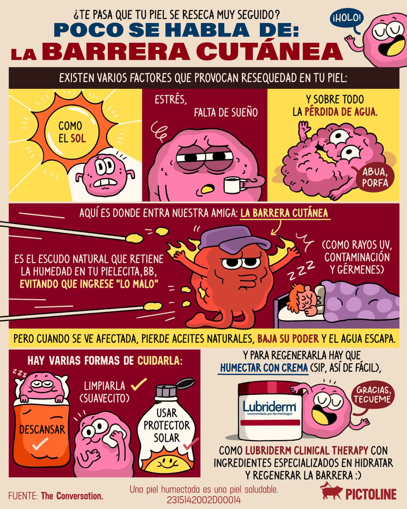 Tu piel tiene un escudo natural y sí: necesita cuidados 🧴 #piel #skincare #humectacion #cuidadodelapiel #pictoline