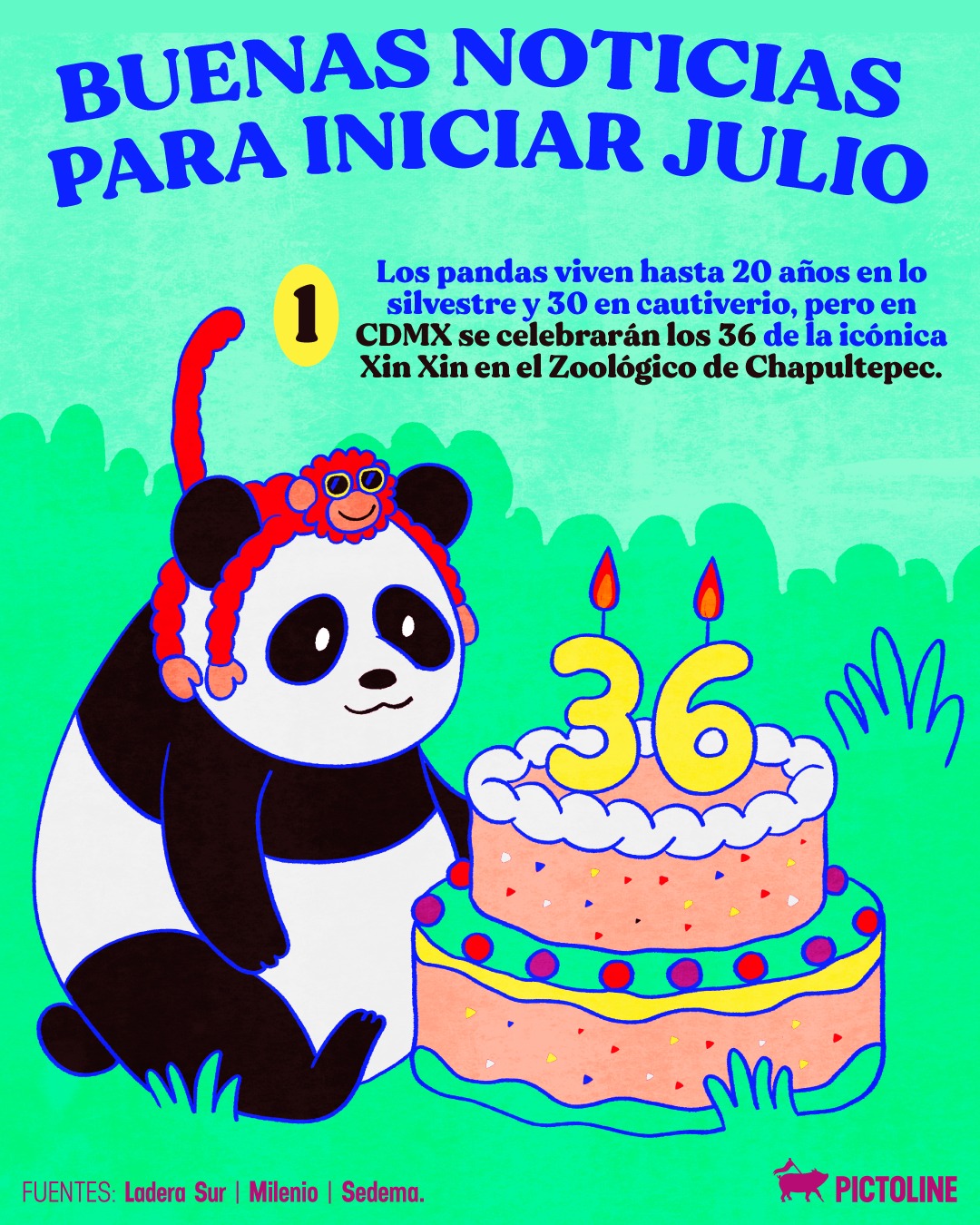 🐼✨Porque las buenas noticias van más allá del ⚽⁣ #medioambiente #animales #pictoline