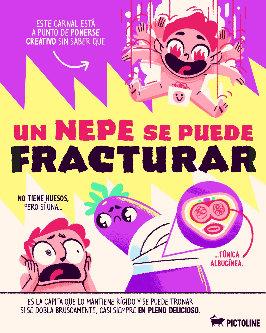 ¿Sabías esto o te acabamos de arruinar el día? 🥶⁣ ⁣ #salud #sexualidad #pictoline