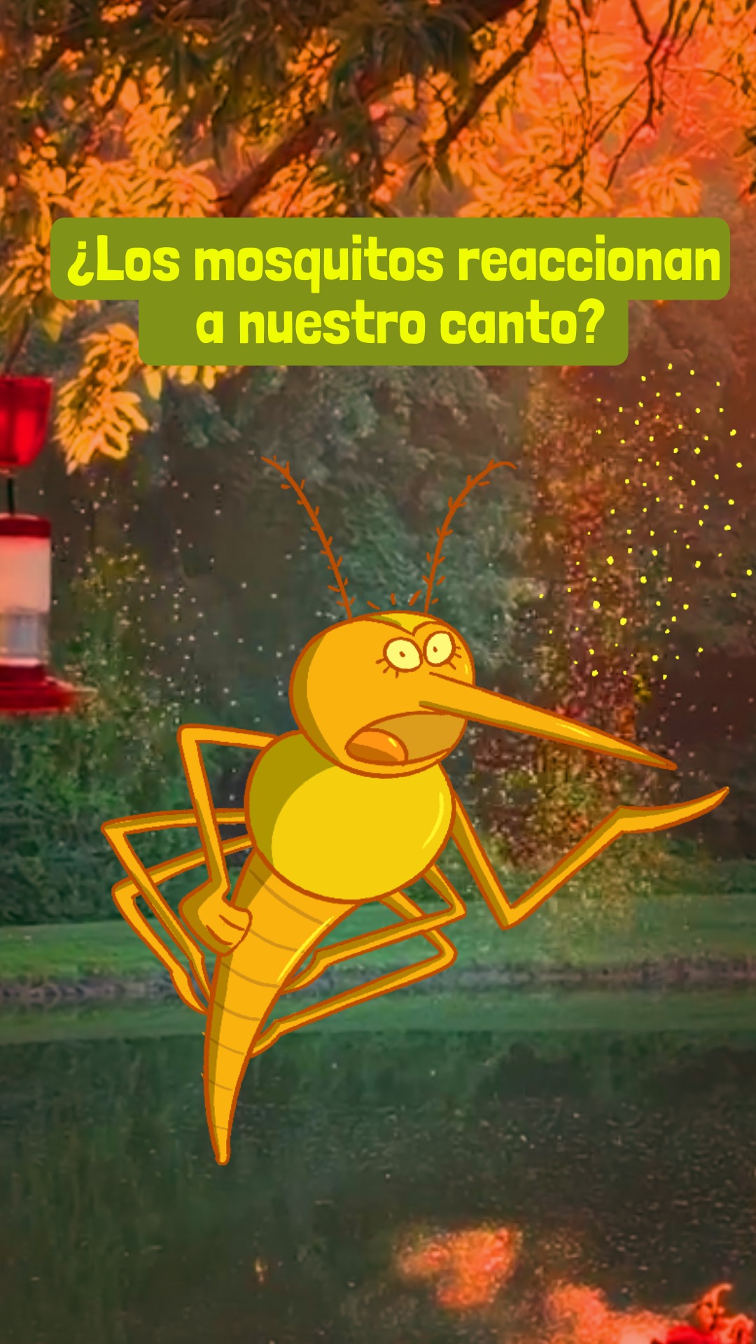 ¿Es real que los mosquitos bailan con el canto como en las pelis animadas? 🪰👑 #animales #ciencia #pictoline