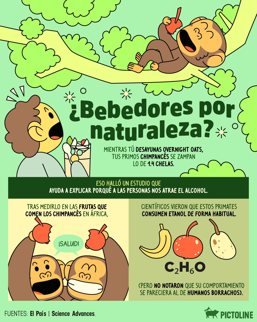 ¿El gusto por la 🍺 es herencia evolutiva? 🙊 #animales #ciencia #pictoline